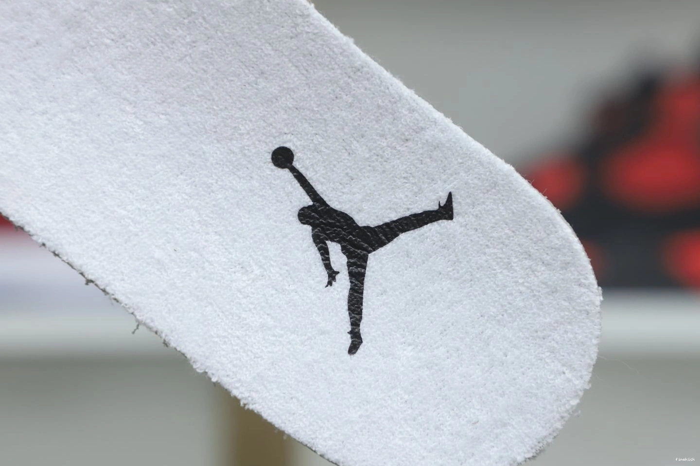 RETRO 89 AIR JORDAN4 ALTERNATE 0225